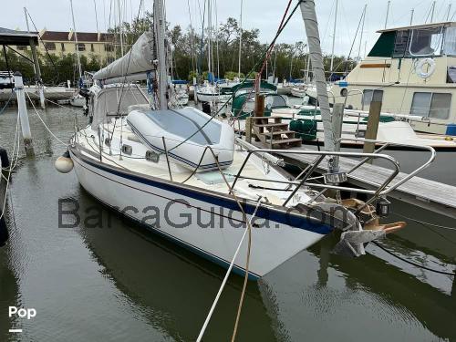 Morgan 384 scheda tecnica e recensioni